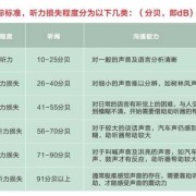 6个月宝宝能接受多大分贝噪音,胎儿几个月听力易受损,羊水会保护胎儿听力吗?
