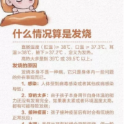 八个月胎儿图（八个月小孩低烧怎么办？孩子很爱哭闹了，要怎么护理合适）