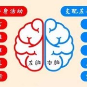 胎儿偏左是男孩女孩（父母都是右撇子孩子是左撇子）
