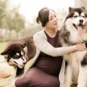 怀孕家里养狗有影响吗,怀孕期间可以养宠物吗有影响吗