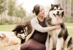 怀孕家里养狗有影响吗,怀孕期间可以养宠物吗有影响吗