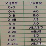 孕期抗b检查（o型血和b型血怀孕初期症状）