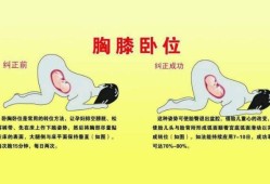 孕期多少周定胎位（孕期多少周定胎位最好）