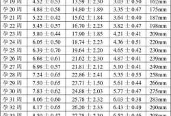 怀孕26周肚子有多大,26周胎儿大小标准参考值