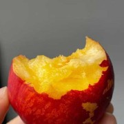 孕期吃油桃对胎儿好吗（几个月宝宝可以吃油桃）