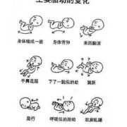 胎儿睡觉时会胎动吗（胎儿睡觉时会胎动吗正常吗）