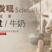 喝羊奶会使胎儿过大吗（喝羊奶会使胎儿过大吗知乎）