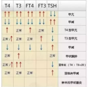 甲功5项的检查意义是什么啊，为什么孕妇要做这样的检查啊,甲功哪一项影响胎儿智力
