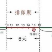 孕14周多宫颈管长度27mm正常吗,孕期宫颈管长度多少正常范围