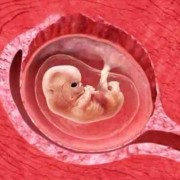 孕12周头臀径47mm正常吗,十二周的胎儿有多大图片