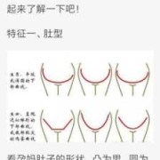从肚子形状辨别男女怎么看?男宝妈都来分享下你们孕期肚子长什么样,孕期男女预算表