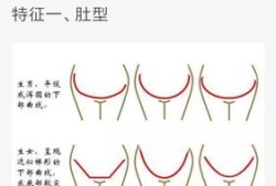 从肚子形状辨别男女怎么看?男宝妈都来分享下你们孕期肚子长什么样,孕期男女预算表