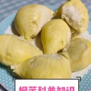 儿童吃榴莲的好处和坏处,孕期吃榴莲对胎儿好吗有影响吗