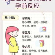 孕期反应晚（孕期反应晚）