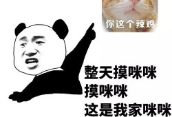 怀孕期间摸咪咪的好处