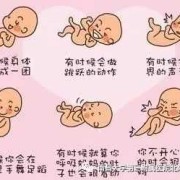 胎儿怎么动（胎儿怎么动算一次胎动）