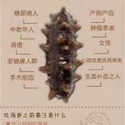 孕期吃海参的好处（孕期吃海参的好处与功效有哪些）