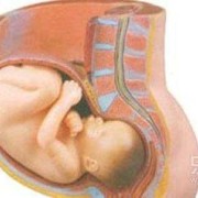9个月肚子里宝宝老动,孕9个月胎儿图片