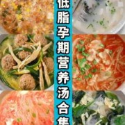 孕期营养粥的做法大全（孕妇喝什么汤最好？什么汤更有营养呢）