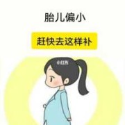 孕晚期检查宝宝偏小两周，怎么补才能让宝宝多吸收营养呢,胎儿偏小两周吃什么补得快
