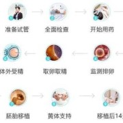 试管怀孕周期怎么算,试管孕期怎么算
