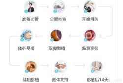 试管怀孕周期怎么算,试管孕期怎么算