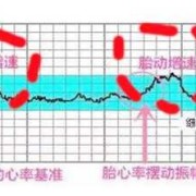 胎儿发育全过程（怀孕几周有胎心，有了胎心就表示胎儿发育很好了吗）