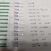 hcg长得慢是什么原因,胎儿发育缓慢是什么原因造成的