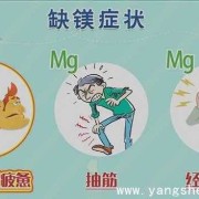 孕妇缺镁有什么症状和危害,孕期 镁