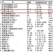 孕期总蛋白偏低（孕期总蛋白偏低是什么原因）