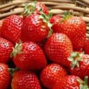 孕期吃草莓（孕期吃草莓的好处与功效）