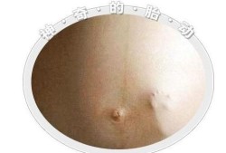 一般怀孕到多少周会有胎动,胎儿几个月有胎动明显