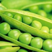 豌豆的益处与禁忌,孕期可以吃豌豆吗?