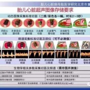 胎儿系统检查（胎儿系统检查了主要查什么）