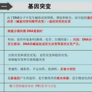 胎儿为什么会基因突变（基因变异是什么原因）