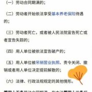 孕期补偿（孕期补偿金）
