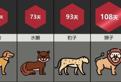 各种动物的孕期（各种动物的孕期时间）