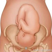 胎儿入盆需要多久（胎儿入盆后多久会生了）