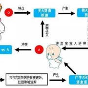 胎儿溶血症（胎儿溶血症是什么意思）
