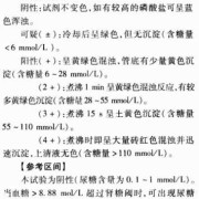 孕期尿糖3个加号（尿糖3+什么意思）