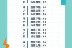 40周胎儿腹围标准（40周孕妇腹围最少是多少）