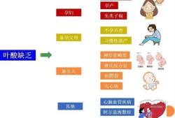 孕期叶酸过量的危害（孕期叶酸过量的危害有哪些）