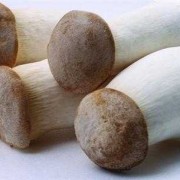 孕期吃香菇对胎儿好吗（孕妇吃什么菇比较好）