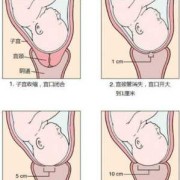 孕期的检查（孕妇都要做内检吗？如何检查啊）