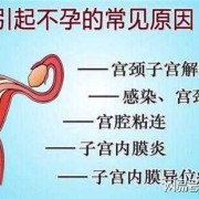 怀孕了宫腔粘连怎么办，不知道是重度还是轻度,孕期宫腔黏连带对胎儿有影响吗