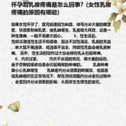 孕期乳腺疼（孕期乳腺疼痛怎么办）