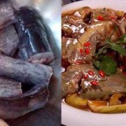 孕期补胎（孕妇能吃鲶鱼吗）