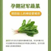 孕妇可以吃哪些青菜?怀孕期间可以吃哪些青菜补充维生素,冬季孕妇吃什么蔬菜对胎儿好