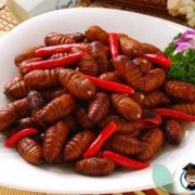 孕期能吃蚕蛹吗（蚕蛹对女性的好处）