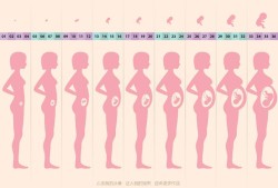 怀孕2个月了一直“见红”，影响胎儿吗,孕期反复流血怎么回事